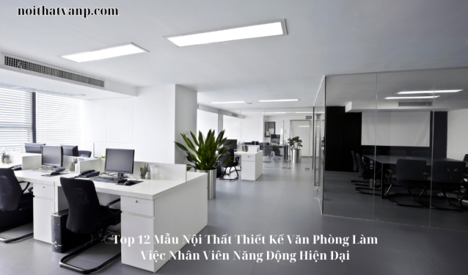 Top 12 Mẫu Nội Thất Thiết Kế Văn Phòng Làm Việc Nhân Viên Năng Động Hiện Đại